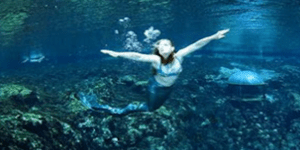 Σχολείο για ... γοργόνες στην Φλόριντα [εικόνες]