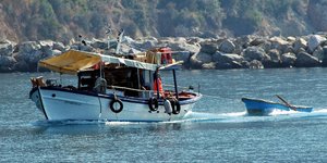 Ελεγχοι στην αλιεία μεγάλων πελαγικών ψαριών