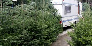 Χριστουγεννιάτικα δέντρα