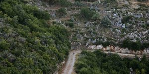 Εργα αγροτικής οδοποιίας