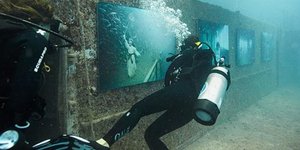 Η τέχνη κάνει βουτιά στο νερό -Υποβρύχια έκθεση ζωγραφικής στις Μαλδίβες [εικόνε