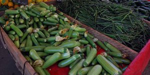 Ακατάλληλα κηπευτικά