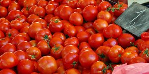 Δεν πληρούσαν τις απαιτήσεις των διατάξεων της ενωσιακής και εθνικής νομοθεσίας