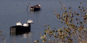 Με στόχο την εκτίμηση του μεγέθους του πληθυσμού