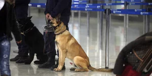 Ο συλληφθείς οδηγήθηκε στον εισαγγελέα Πλημμελειοδικών Αθηνών