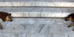 φωτογραφία αρχείου: eurokinissi