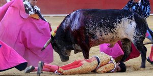 Φωτογραφία: ΑΠΕ/ ΕPA/ ANTONIO GARCIA