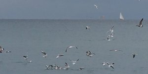 Φθινοπωρινός καιρός τη Δευτέρα