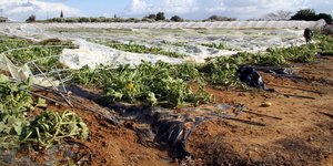 «Αναχρονιστικός ο ΕΛΓΑ»
