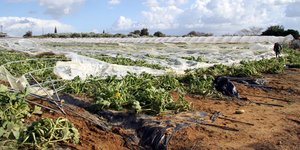 Οι πληρωμές έγιναν από τις 28 έως τις 29 Νοεμβρίου