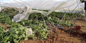 Αποζημιώσεις ΕΛΓΑ σε 6.681 αγρότες