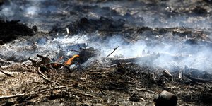 Ελεύθερος με περιοριστικούς όρους ο «εμπρηστής» της Βαρυμπόμπης
