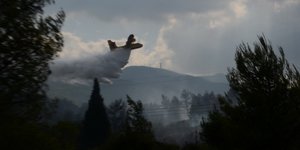 Στις φλόγες η Χαλκιδική -Πυρκαγιά σε πευκοδάσος στον Αρμενιστή 