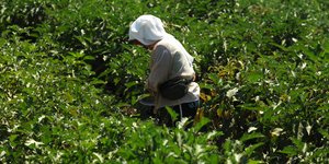 Παγκόσμια Ημερα Αγρότισσας σήμερα