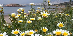 Μικρή άνοδος της θερμοκρασίας το Σάββατο -Πού αναμένονται βροχές 