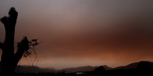 (EUROKINISSI/ ΒΑΣΙΛΗΣ ΠΑΠΑΔΟΠΟΥΛΟΣ)