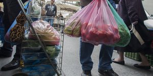 «Βόμβα» στα θεμέλια του οικοσυστήματος
