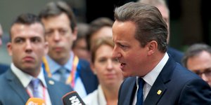 Κάμερον: Αν αποδειχθεί ότι οι αυτονομιστές έριξαν το Boeing