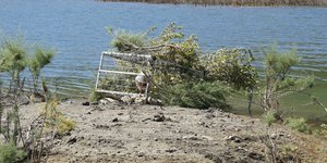 Ακόμη ψάχνουν τον κροκόδειλο του Ρεθύμνου -Νέα επιχείρηση για την παγίδευση του 