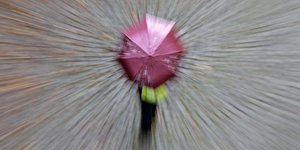 Βροχερός ο καιρός το Σάββατο -Σε ποιες περιοχές θα είναι απαραίτητη η ομπρέλα 