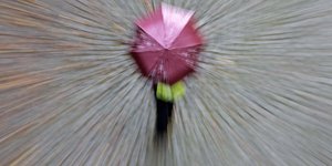 «Χειμωνιάζει» το Σάββατο -Βροχές