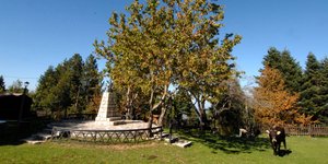 Αίθριος ο καιρός σε όλη τη χώρα (EUROKINISSI/ ΘΑΝΑΣΗΣ ΚΑΛΛΙΑΡΑΣ)