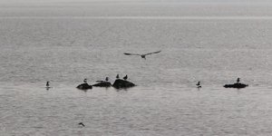 Ανεβαίνει το θερμόμετρο την Τετάρτη -Ερχεται σκόνη από την Αφρική