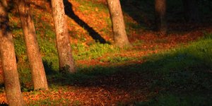 Συννεφιασμένη Κυριακή (EUROKINISSI/ ΘΑΝΑΣΗΣ ΚΑΛΛΙΑΡΑΣ)