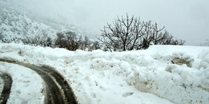 (EUROKINISSI/ ΒΑΣΙΛΗΣ ΜΕΣΟΛΟΓΓΙΤΗΣ)