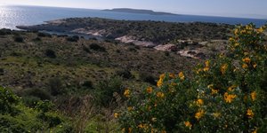 (EUROKINISSI/ ΓΙΩΡΓΟΣ ΚΟΝΤΑΡΙΝΗΣ)
