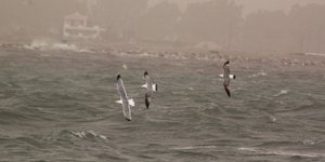 φωτογραφία αρχείου: eurokinissi