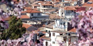 (EUROKINISSI/ ΒΑΣΙΛΗΣ ΠΑΠΑΔΟΠΟΥΛΟΣ)