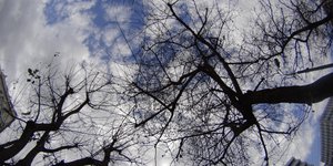 (EUROKINISSI/ ΓΙΩΡΓΟΣ ΚΟΝΤΑΡΙΝΗΣ)