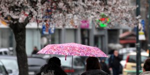 (EUROKINISSI/ ΘΑΝΑΣΗΣ ΚΑΛΛΙΑΡΑΣ)