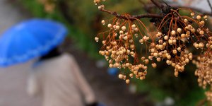 (EUROKINISSI/ ΘΑΝΑΣΗΣ ΚΑΛΛΙΑΡΑΣ)