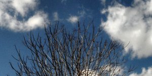 (EUROKINISSI/ ΓΙΩΡΓΟΣ ΚΟΝΤΑΡΙΝΗΣ)