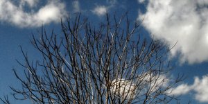 (EUROKINISSI/ ΓΙΩΡΓΟΣ ΚΟΝΤΑΡΙΝΗΣ)