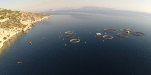 Δεν εκπληρώθηκαν οι προβλεπόμενες υποχρεώσεις από τον μισθωτή εντός της διορίας