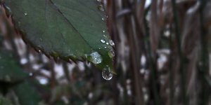 (EUROKINISSI/ ΘΑΝΑΣΗΣ ΚΑΛΛΙΑΡΑΣ)