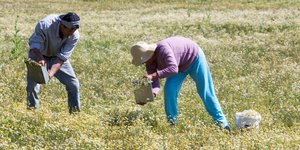 φωτογραφία αρχείου: eurokinissi 