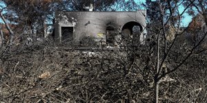 Μάτι Αττικής/ Φωτογραφία intime news