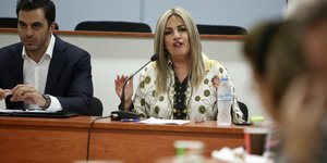 Μανώλης Χριστοδουλάκης