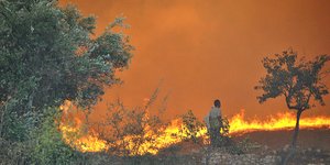 Φωτογραφία: EUROKINISSI