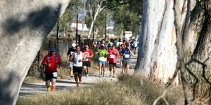 Για την Κιβωτο και την Τράπεζα Δοτών Μυελού των Οστών