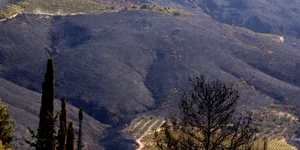 Στα ίδια επίπεδα με τα τελευταία 10 χρόνια
