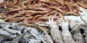 Ακατάλληλα αλιεύματα