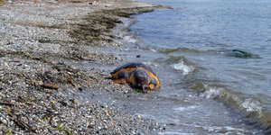 Στην περιοχη Λάμπη