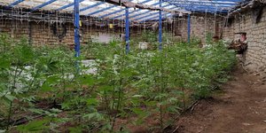 2018 ετος κατά των ναρκωτικών