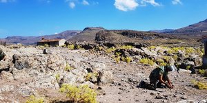Τάγμα Εκκαθάρισης Ναρκοπεδίου