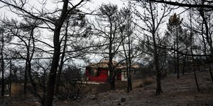 Στέλνουν ανθρώπινες δυνάμεις και αεροπλάνα